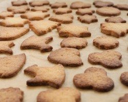 Flüchtlinge backen Hanfkekse