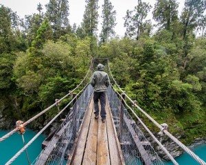 Medizinisches Cannabis in Neuseeland 