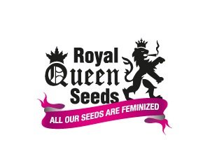 royal queen seeds shop