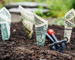 Cannabis Anbau kann auch anders aussehen ... Übernahmen im Cannabis Business