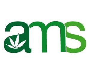Amsterdam Marijuana Seeds Shop