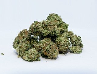 Global Drug Survey 2017 - Cannabis