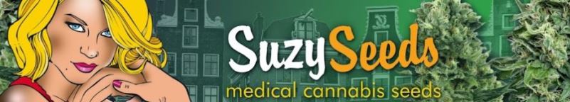 suzy seeds