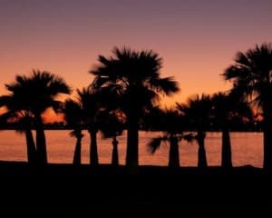 Cannabis in Kalifornien