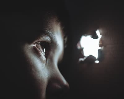 Neue Studien zu Cannabis zeigen, dass Stress und Angststörungen behandelt werden können. Studien zu Cannabis Stress und Angststörungen