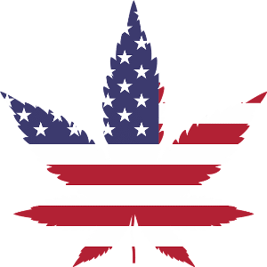 5 Jahre Cannabis-Legalisierung in d