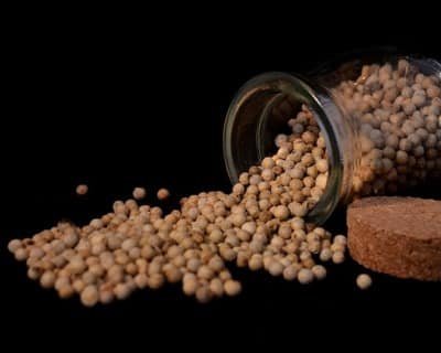 Paranoia beim Kiffen