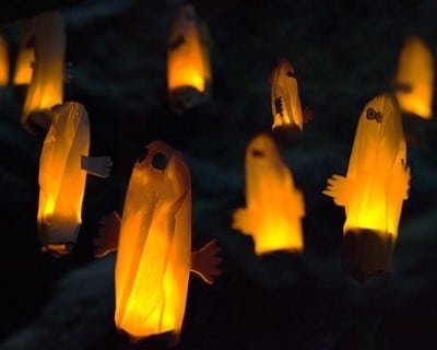 Ist das stärkste Gras Ghost OG zum fürchten? stärkste Gras