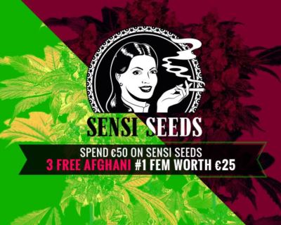 Sensi Seeds