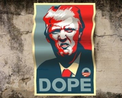 Hanf legalisieren in ganz USA - Trump-Wähler sagen "yes". Trump Wähler für Freigabe von Hanf