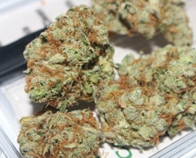 THC im Cannabis