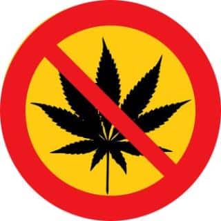 Cannabis nicht legalisieren