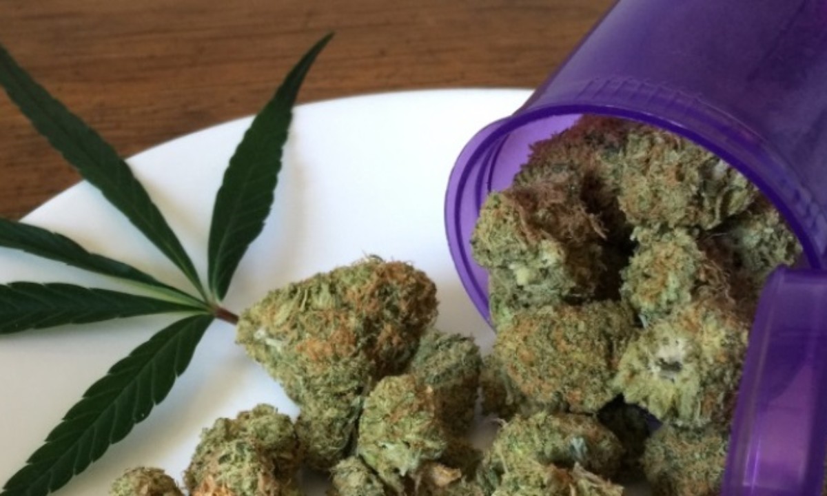 Cannabis Aufbewahren Die Besten Methoden Thc Guide
