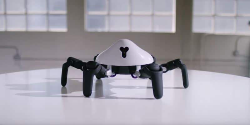 Hanf-Roboter Hexa