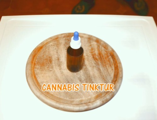 Cannabis Tinktur – THC als Konzentrat