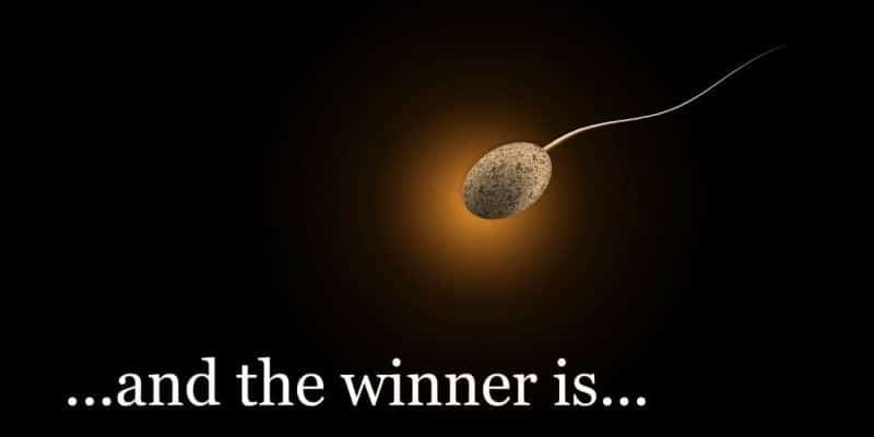 Spermie - Symbolfoto