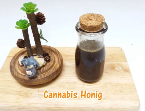 Cannabis Honig – Aufstrich und Süßstoff mit Hanf