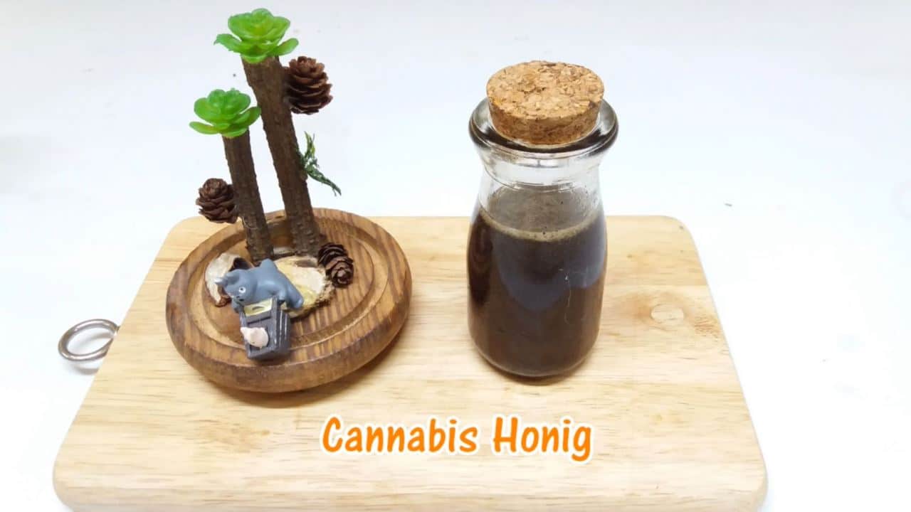 Cannabis Honig