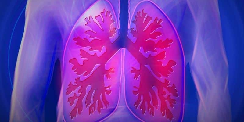 Wie wirkt Cannabis auf die Lunge