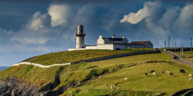 Cannabis Legalisierung in Irland - Symbolbild