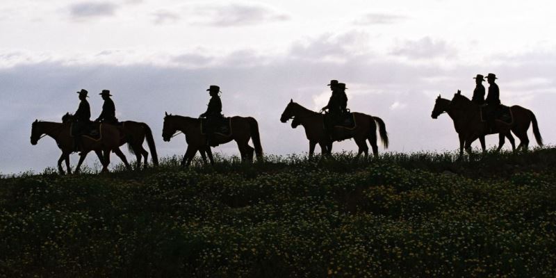 Cannabis in Texas