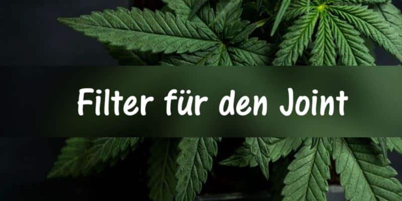 Filter für den Joint