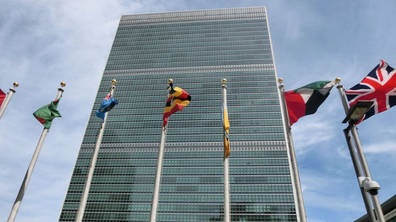 NGOs fordern Cannabis Legalisierung