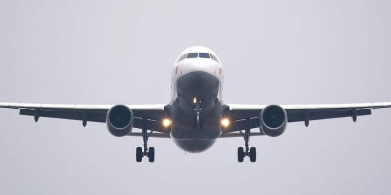 Transportbehörde erlaubt CBD Cannabismedizin