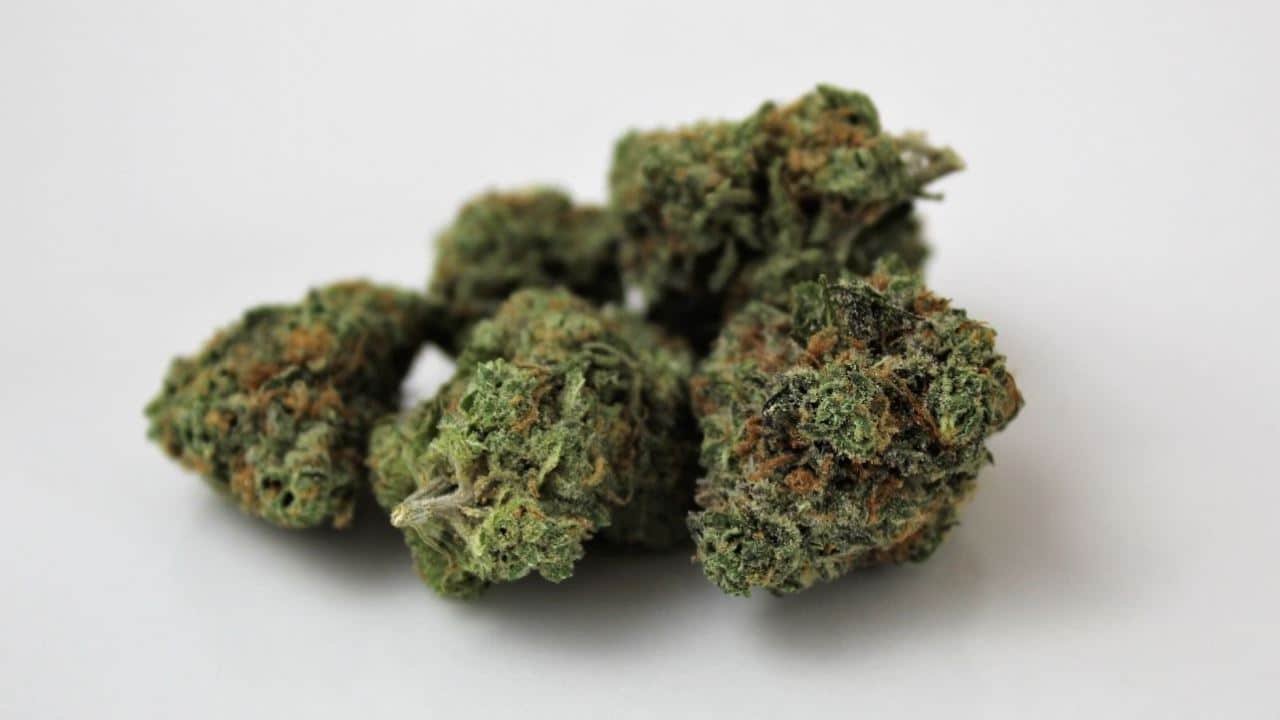 Cannabis Banken - Symbolbild