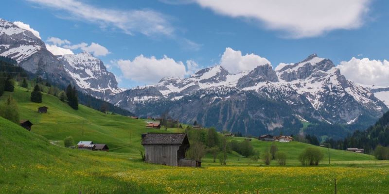 Zugang zu Cannabismedizin