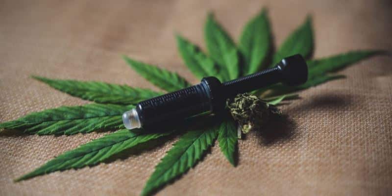 CBD-Cannabis Unternehmen