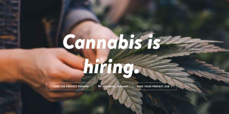 Cannabis Jobs 