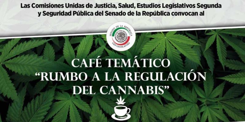Cannabis Legalisierung in Mexiko