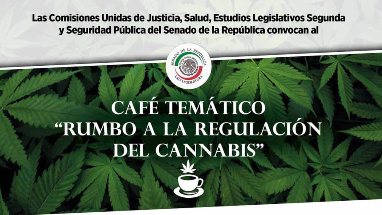 Cannabis Legalisierung in Mexiko