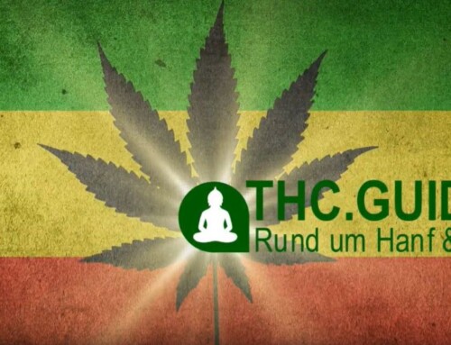 Top 5 wichtigsten Cannabis Speisen und Getränke