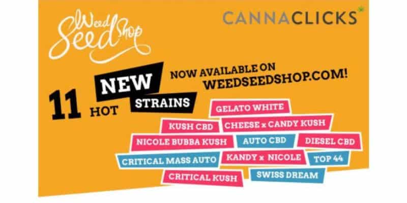 Neue Cannabissorten