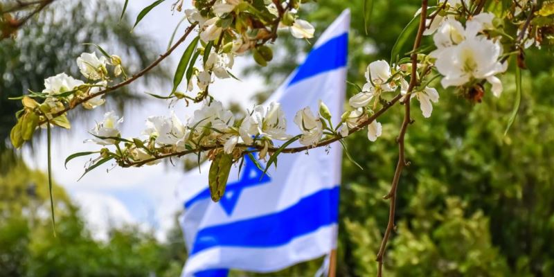 Cannabis Aktien aus Israel