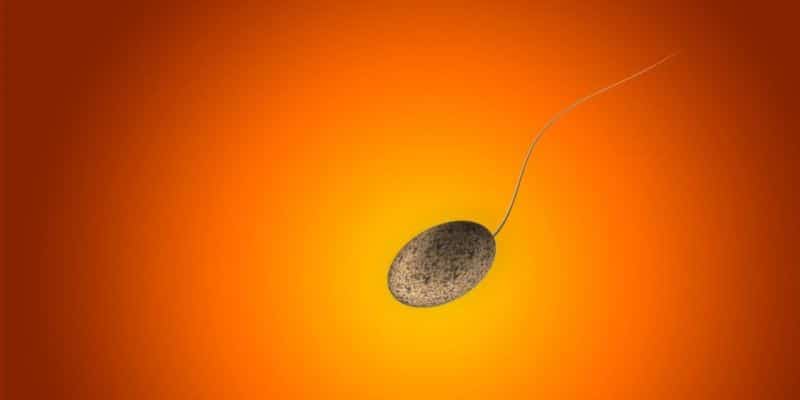 Kiffer haben weniger Spermien