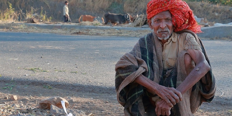 Indien Cannabis anbauen