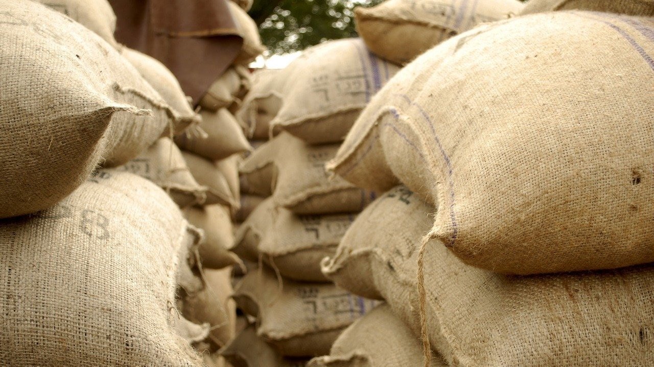 Cannabis &Uuml;berproduktion Kanada