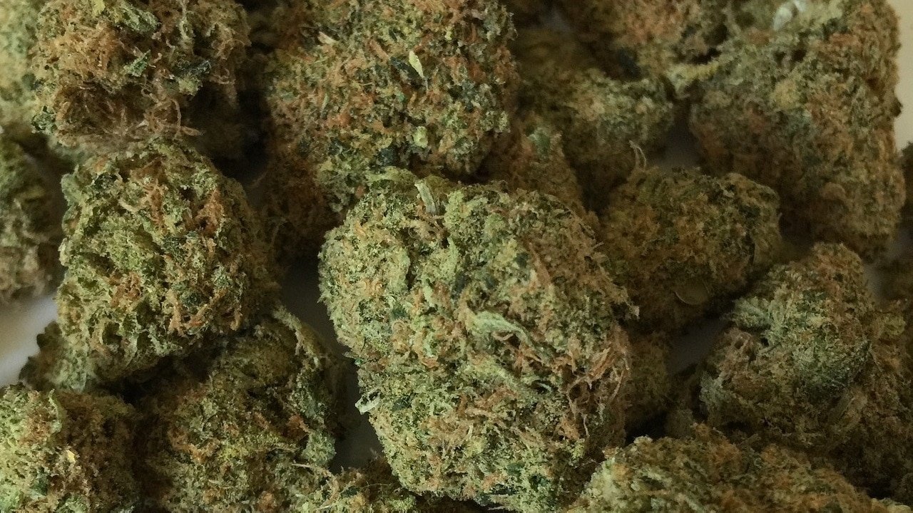 Cannabis Reste Marihuana Staub