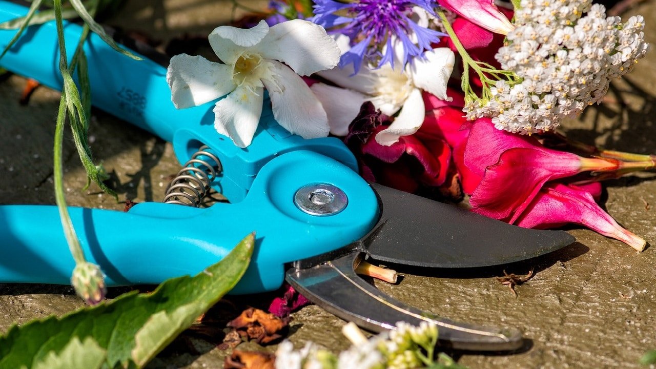 Marihuana-Bl&auml;tter Verschnitt