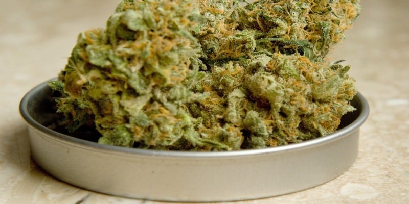 Cannabis Legalisierung 2020
