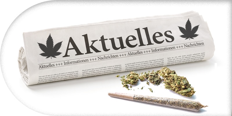 Cannabis Nachrichten