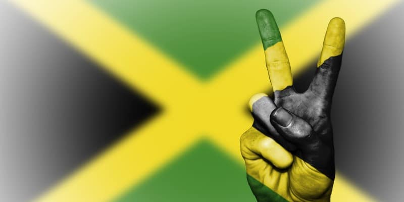 Jamaika Cannabisbauern 