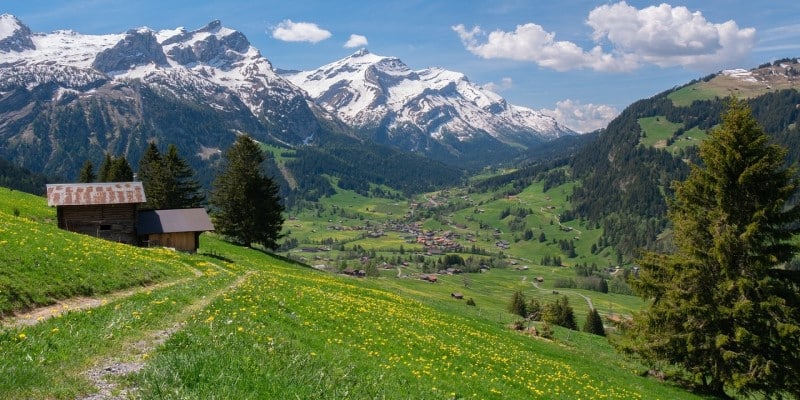 Schweiz Hanfmedizin