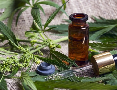 CBD Öl 5: 500 Milligramm Cannabidiol – die Besten!