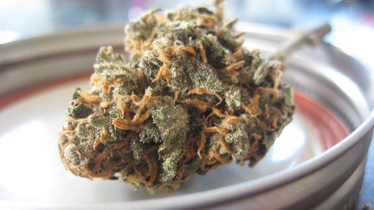 Bundesl&auml;nder Cannabis Modellprojekte