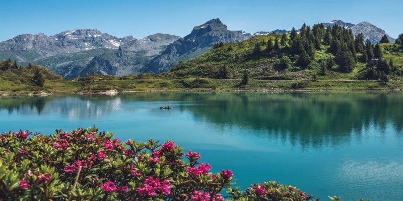 Cannabis Freigabe Schweiz