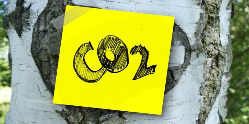 Cannabis Verarbeitung CO2